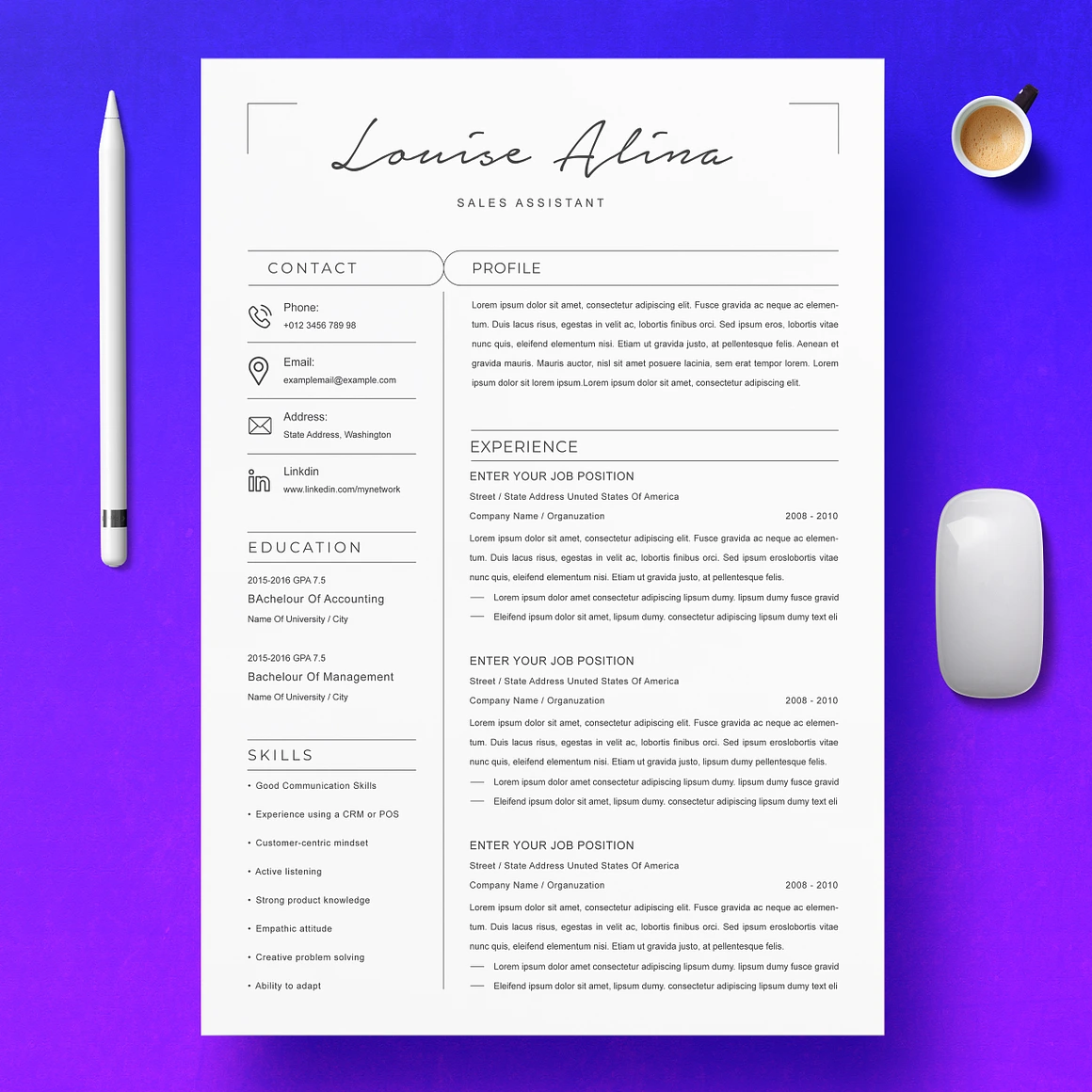 New Resume Format / CV Template